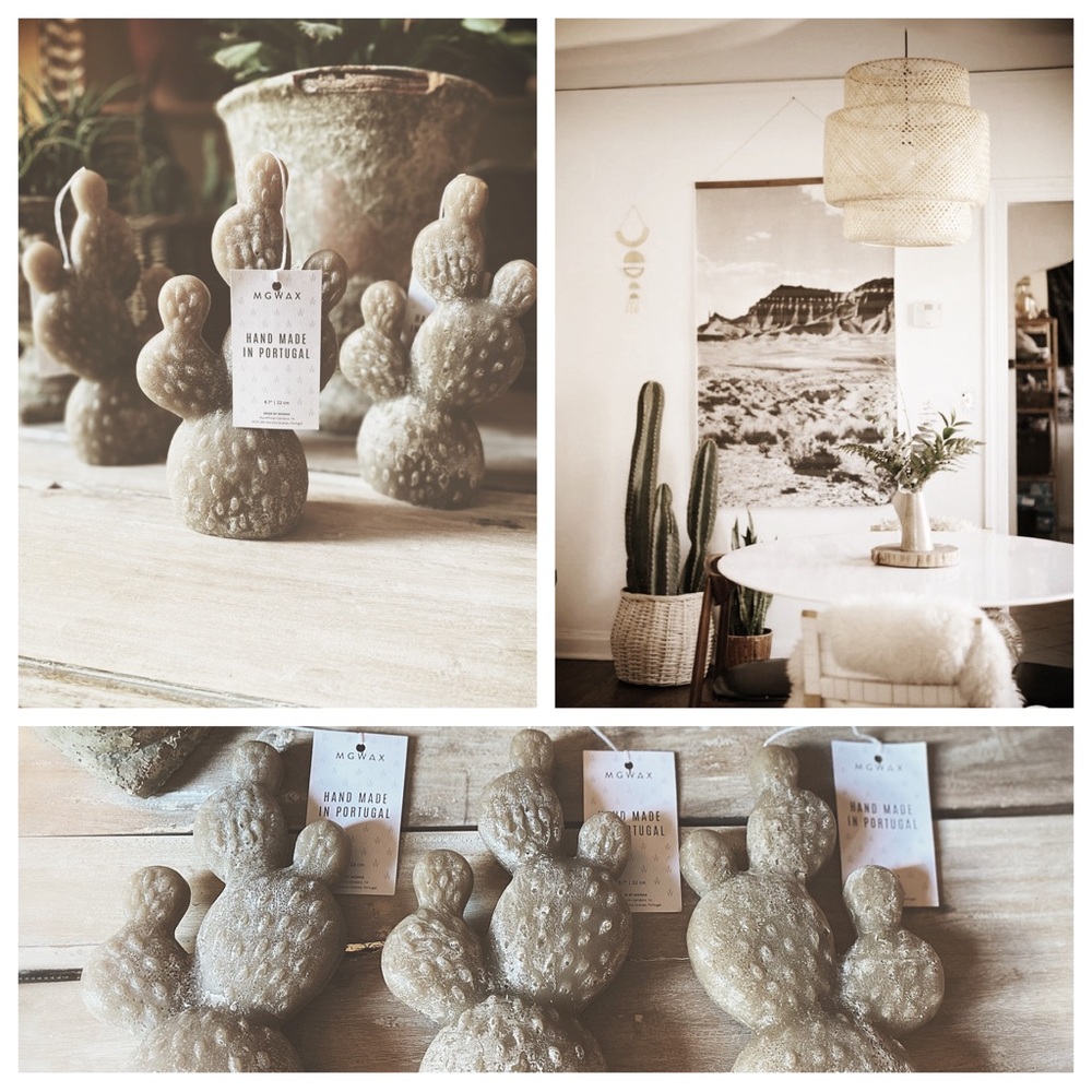 Cactus Candles - Picture 6 of 12